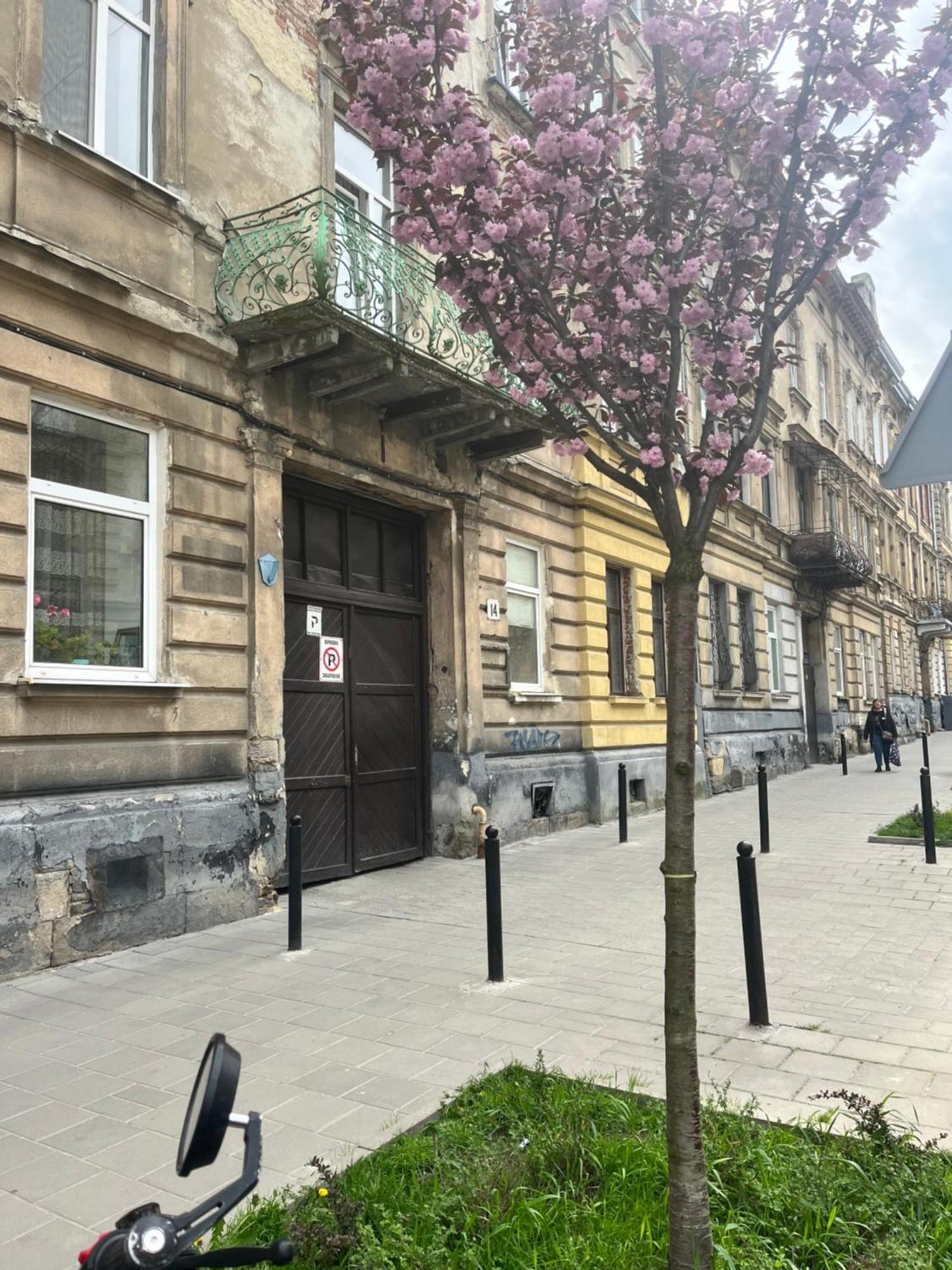Medova Apartments Lviv Exterior photo